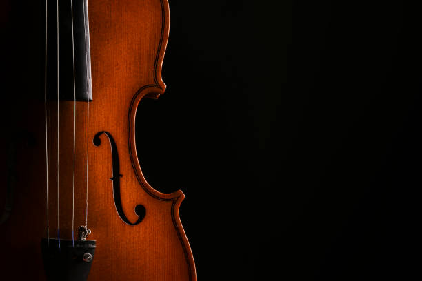 Violin